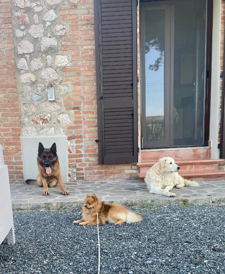 Casa Vacanze Arcobaleno Grosseto Ngoại thất bức ảnh